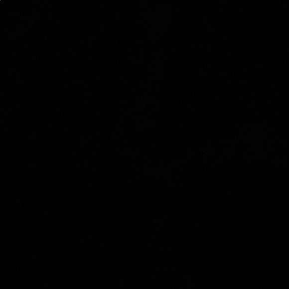 Meet your Posher, Rene - Picture 1 of 1